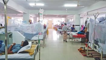 একদিনে আরও ২০ ডেঙ্গু রোগী হাসপাতালে