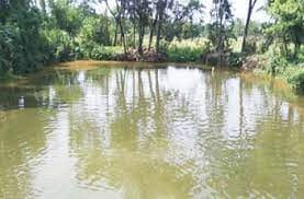 পুকুরে ডুবে প্রাণ গেল ২ ছেলেসহ মায়ের