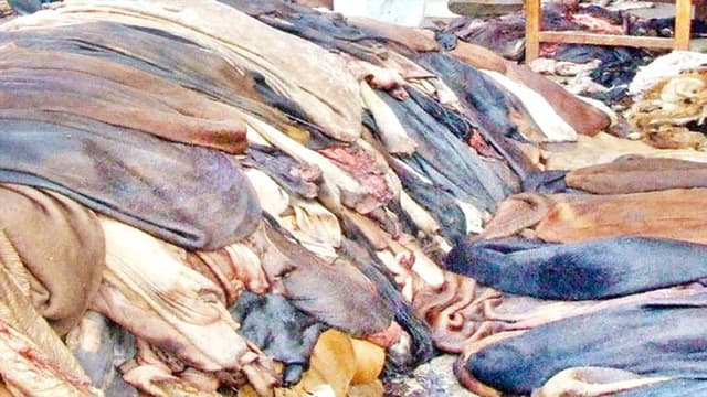 কোরবানির পশুর চামড়ার দাম নির্ধারণ