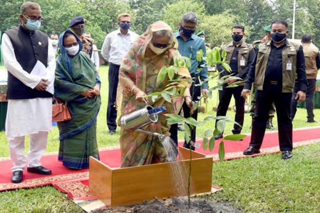 প্রধানমন্ত্রীর আহ্বান প্রত্যেককে অন্তত ৩টি করে গাছ লাগানোর