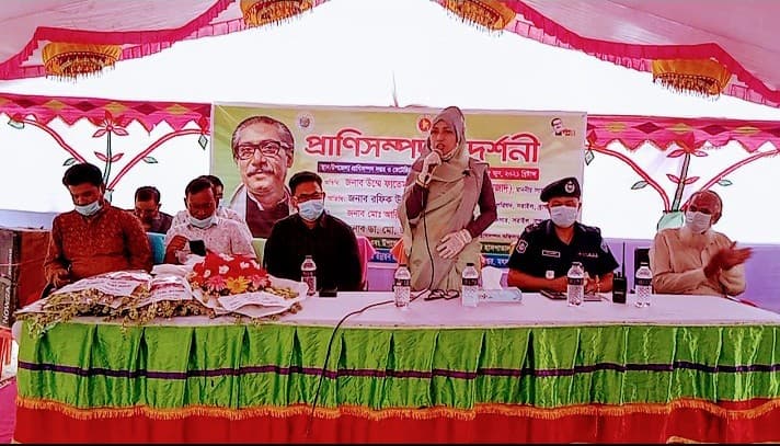 সরাইলে প্রাণিসম্পদ প্রদর্শনীর উদ্বোধন
