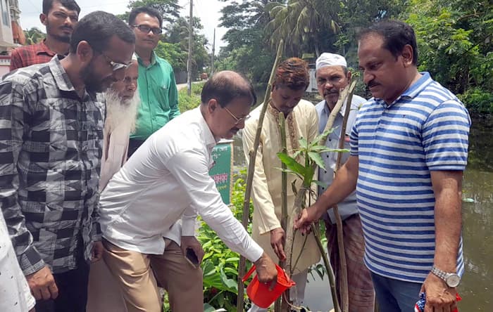 বিশ্ব পরিবেশ দিবসে কলাপাড়ায় বৃক্ষরোপন কর্মসূচী