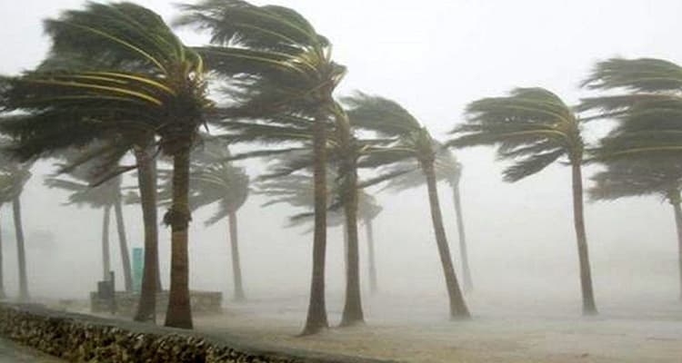 ৪ অঞ্চলে ৬০ কিলোমিটার বেগে ঝড়ের আভাস