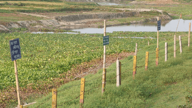 ঠাকুরগাঁওয়ে মৎস্য অভয়াশ্রমগুলোর বেহাল দশা