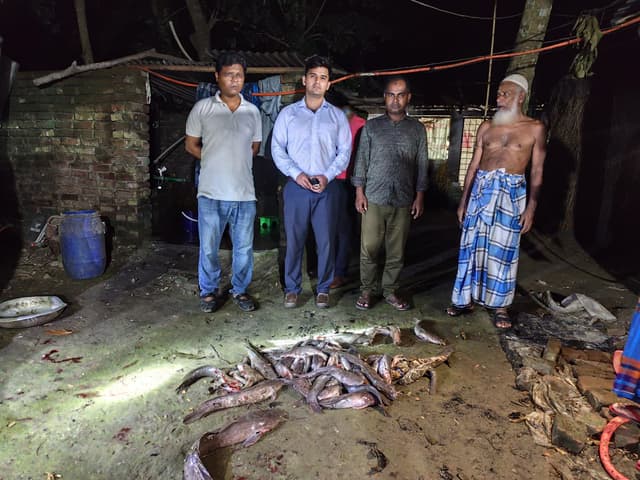 হিজলায় হিংস্র আফ্রিকান মাগুর মাছ জব্দ