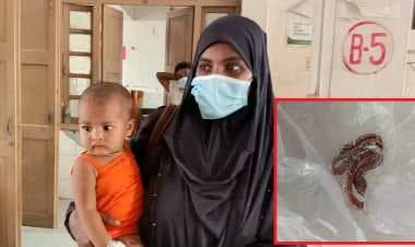 শিশুর কামড়ে সাপের মৃত্যু!