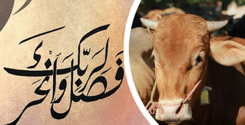 কোরবানি নিয়ে নবিজীর (সা.) ঘোষণা