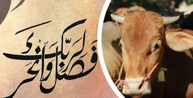 কোরবানি নিয়ে নবিজীর (সা.) ঘোষণা