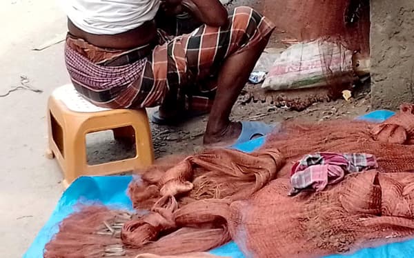 আশাশুনিতে নিষিদ্ধ জালে মাছ শিকার, নষ্ট হচ্ছে পোনা