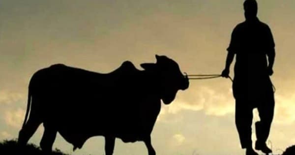 কোরবানির গুরুত্ব ও ফজিলত