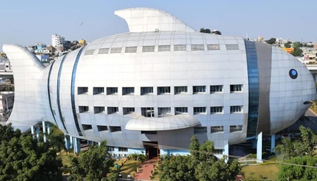 ইলিশের পর এবার "প্রজেক্ট তেলাপিয়া"