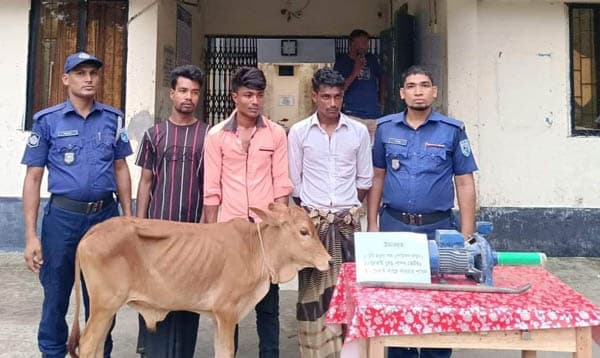 ভূরুঙ্গামারীতে আন্তঃজেলা চোরচক্রের ৩ সদস্য গ্রেফতার