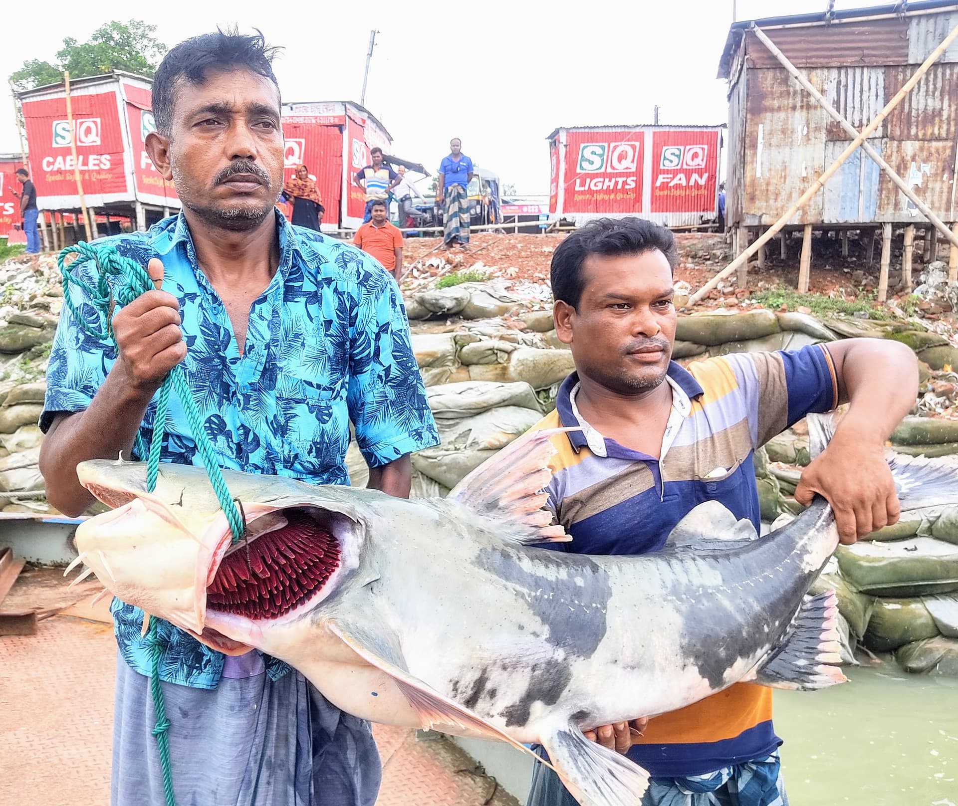 এক বাগাইড় মাছেই জেলের ভাগ্য বদল