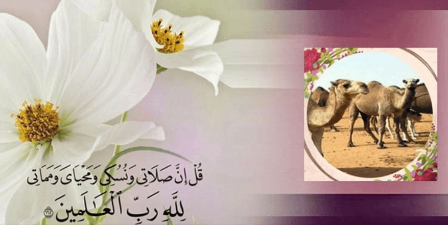 ঋণ থাকলে কোরবানি দেওয়া যাবে কি?