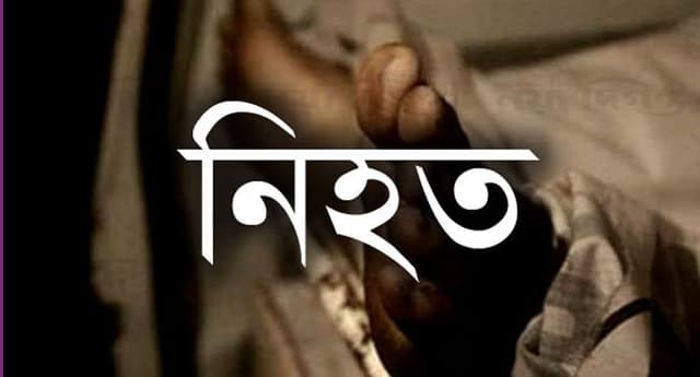 ভান্ডারিয়ায় সড়কে ভ্যান উল্টে বৃদ্ধ নিহত