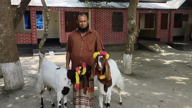 কোমল পানীয় চিপস চানাচুর আপেল কমলা সবই খায় রাজা-বাদশা