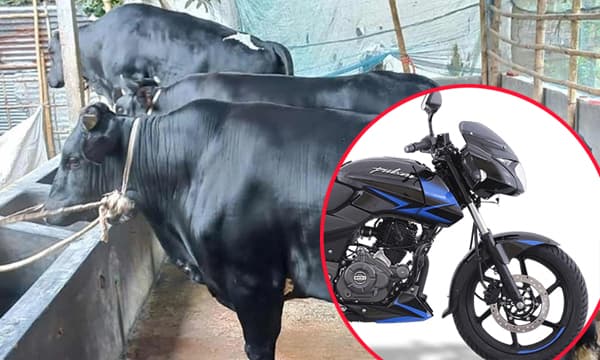 আলা-ভোলা-দোলাকে কিনলেই পালসার মোটরসাইকেল ফ্রি!