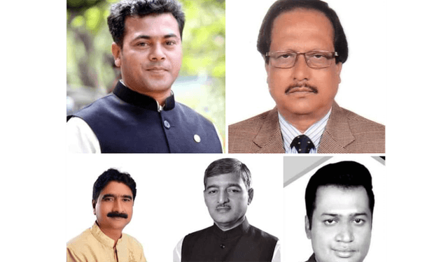 মেহেরপুরে নৌকার চূড়ান্ত বিজয়
