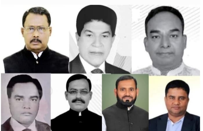 পালং ও জাজিরায় চেয়ারম্যান পদে বিজয়ী হলেন যারা