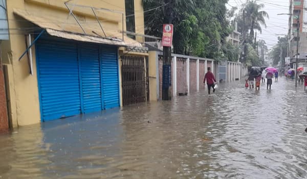 প্লাবিত সিলেট, কুরবানির পশু নিয়ে ভোগান্তি