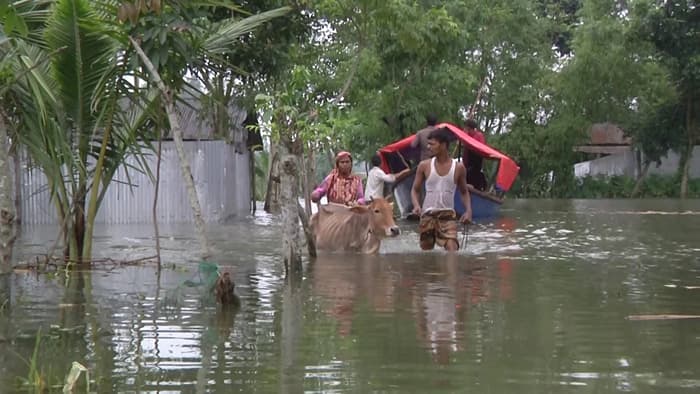 চরম খাদ্য সংকটে তিস্তা অববাহিকার বন্যার্তরা