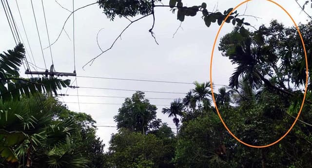আশাশুনি পল্লী বিদ্যুতের হেয়ালী, প্রাণহানীর আশংকা