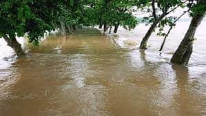 নতুন করে যেসব জেলায় বন্যা হতে পারে