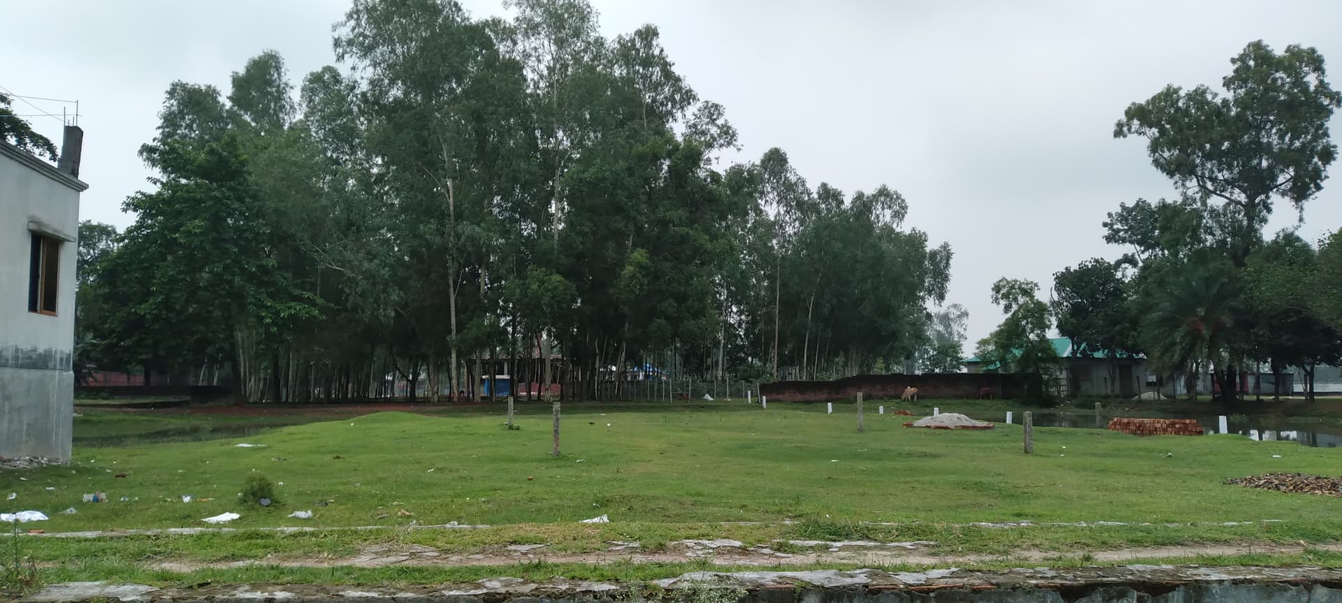 হিলি মাদ্রাসার জমি গোপনে কম দামে বিক্রি হচ্ছে