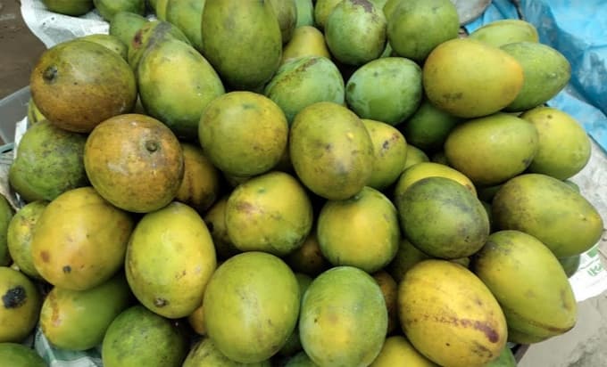 হিলিতে হাঁড়িভাঙা আম প্রতি কেজি ৩৫ টাকা