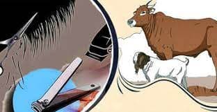 জিলহজের চাঁদ দেখার পর যেসব কাজ নিষেধ