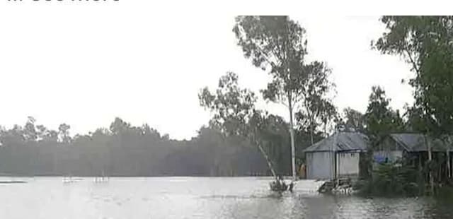 সিরাজগঞ্জে হু হু করে বাড়ছে যমুনার পানি, নিম্নাঞ্চলে বন্যার আশঙ্কা