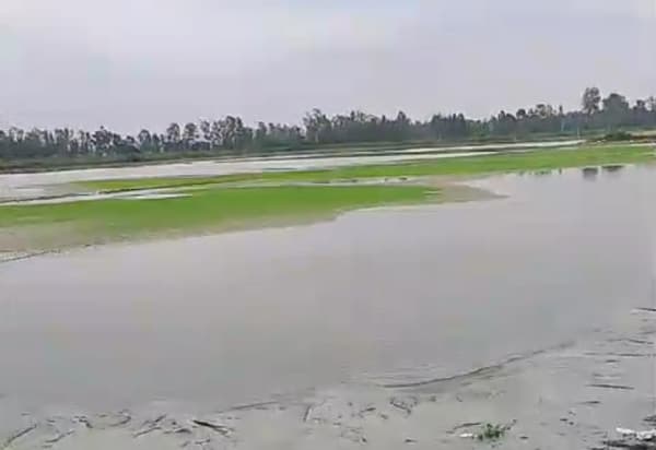 পার্টনারের বিরুদ্ধে খামার দখল করে মাছ বিক্রির টাকা আত্মসাতের অভিযোগ