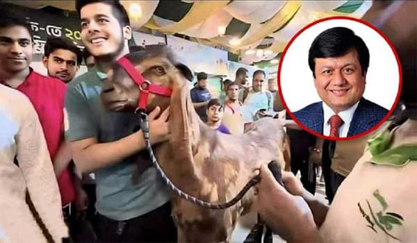 বেরিয়ে আসছে ভাইরাল ইফাতের চাঞ্চল্যকর তথ্য