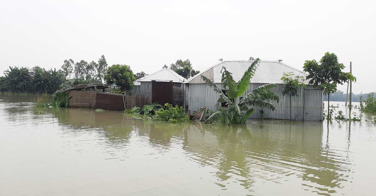 বিপৎসীমার ৫৪ সেমি ওপরে যমুনার পানি, নিম্নাঞ্চল প্লাবিত