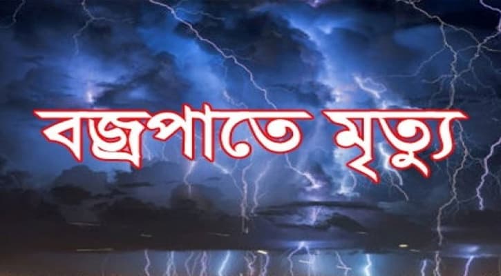 বজ্রপাতে প্রাণ গেল দুই ভাইয়ের