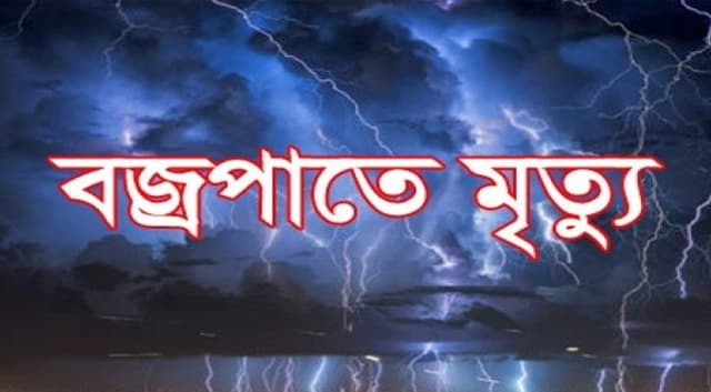 বজ্রপাতে প্রাণ গেল দুই ভাইয়ের