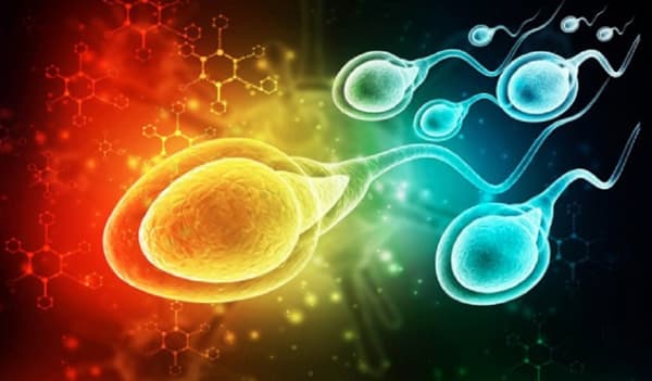 মানব বীর্যে প্লাস্টিকের অস্তিত্ব! কমছে পুরুষের শুক্রানুর পরিমান