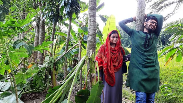 রাতের আঁধারে দুর্বৃত্তরা কেটে দিলো কৃষকের ৫০০ গাছ