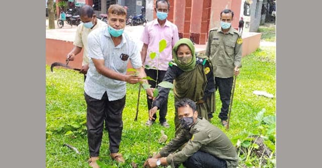 মুজিববর্ষ উপলক্ষে ধামইরহাট আনসার ভিডিপি'র বৃক্ষরোপণ