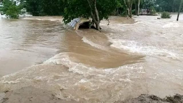 হবিগঞ্জের ৭টি উপজেলার ৫০ শতাংশ এলাকা বন্যাকবলিত