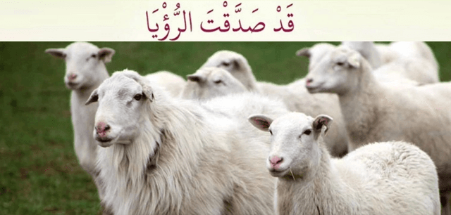 হজরত ইবরাহিমের (আ.) কোরবানির পশুর আকৃতি ও নাম