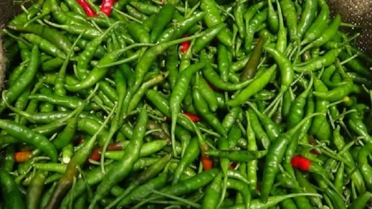 কাঁচামরিচের কেজি ২০০ টাকা!