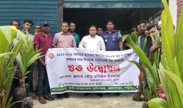 কলাপাড়ায় ১২শ' কৃষকের মাঝে বিনামূল্যে নারিকেল চারা বিতরণ
