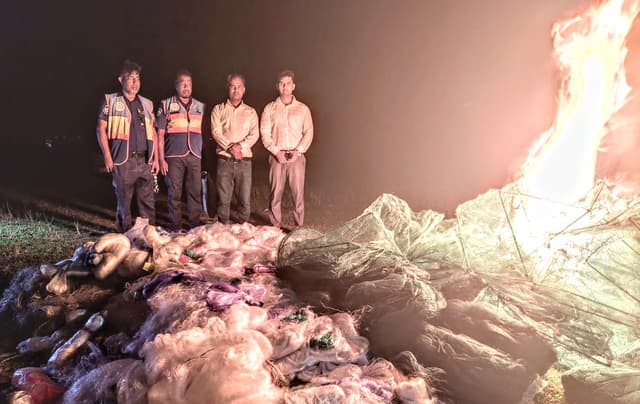 হিজলায় যৌথ অভিযানে ব্যবসা প্রতিষ্ঠান থেকে কারেন্ট জাল জব্দ