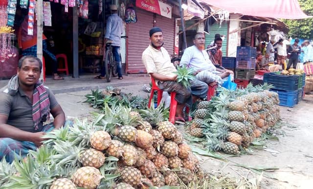 আত্রাইয়ে সরগরম মৌসুমি ফলের প্রতিটি হাট-বাজার
