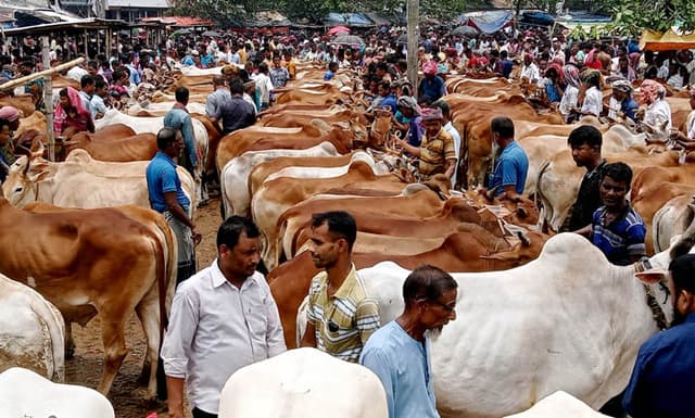 তিলপরিমাণ ঠাঁই নেই পাঁচবিবির গো-হাটে