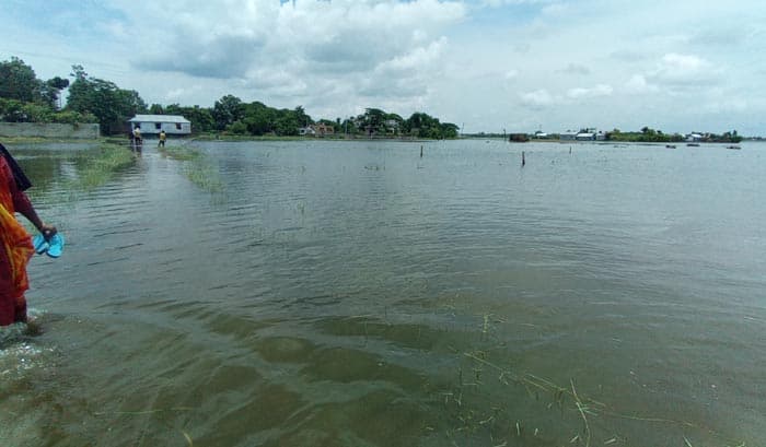 সরাইলে পানিতে তলিয়ে গেছে ৮শতাধিক হেক্টর জমির ফসল