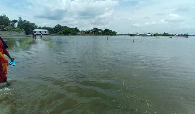 সরাইলে পানিতে তলিয়ে গেছে ৮শতাধিক হেক্টর জমির ফসল