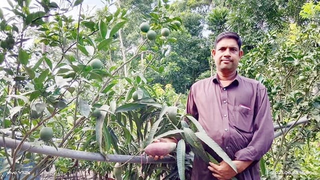 ফল চাষে স্বাবলম্বী নলছিটির শাহআলম