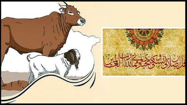 কোরবানির কিছু  হাদিস ও নির্দেশনা